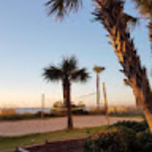 Meet your Posher, Henrika